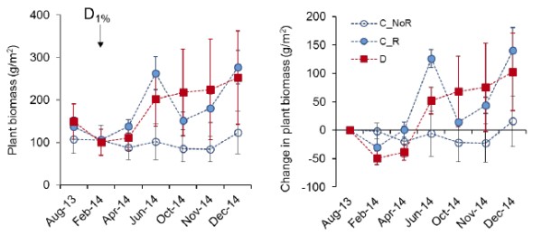 D3.1b fig16