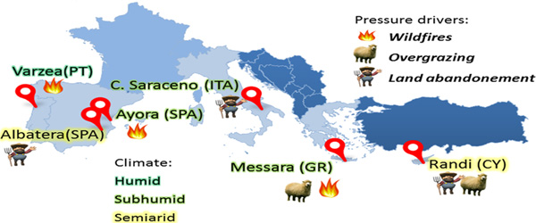 study site map ed 600